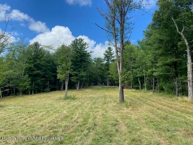 0 Bate Road, Claverack, NY 12513