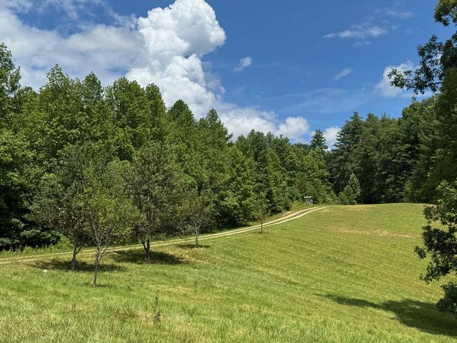 89 Simmons Ridge, Mineral Bluff, GA 30559