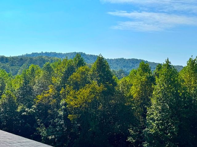 89 Simmons Ridge, Mineral Bluff, GA 30559