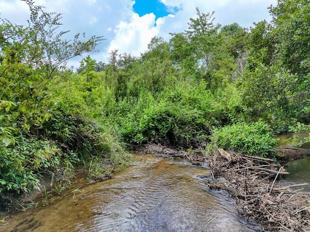 89 Simmons Ridge, Mineral Bluff, GA 30559