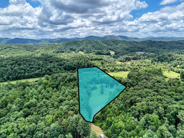 89 Simmons Ridge, Mineral Bluff, GA 30559