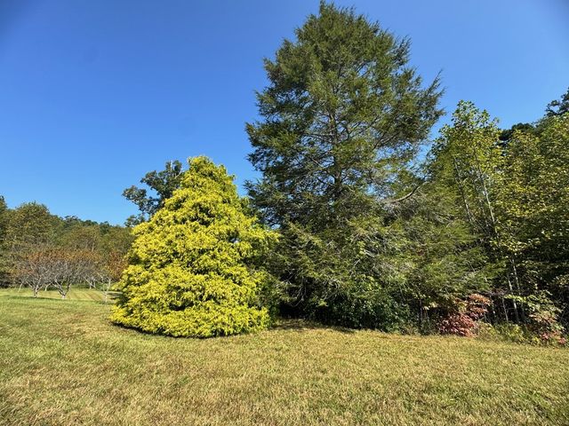 89 Simmons Ridge, Mineral Bluff, GA 30559