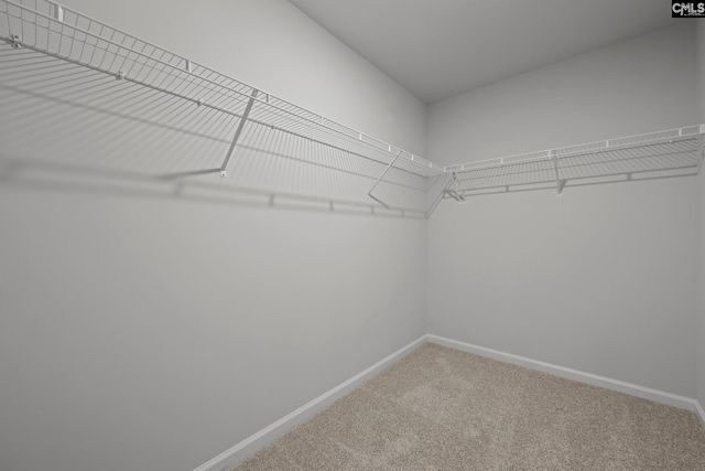 302 Paratrooper Lane, Columbia, SC 29229