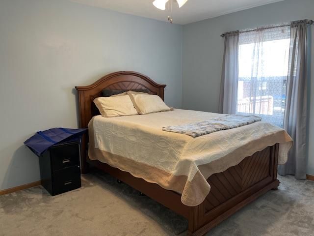 2409 Chestnut Lane, Morris, IL 60450