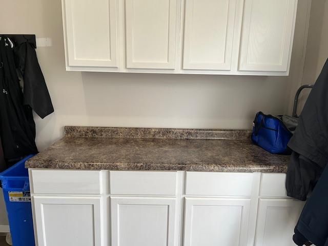 2409 Chestnut Lane, Morris, IL 60450