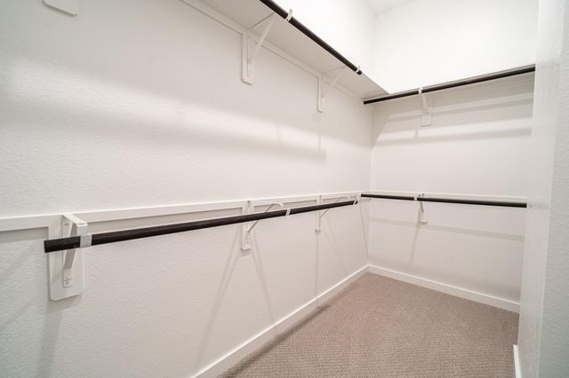 24819 Yellow Spruce, Katy, TX 77493