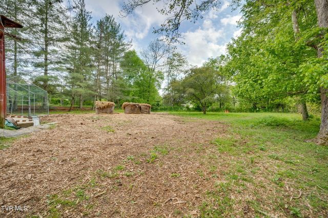 147 Britton Lane, Limestone, TN 37681