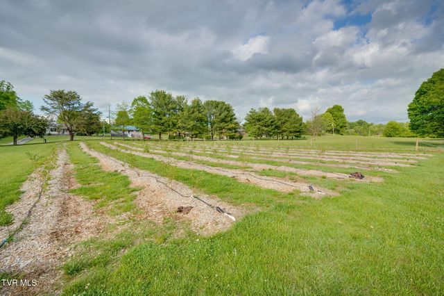 147 Britton Lane, Limestone, TN 37681