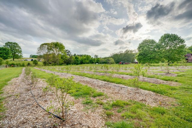147 Britton Lane, Limestone, TN 37681