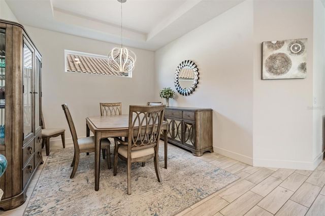 11144 CALLISIA DRIVE, Odessa, FL 33556