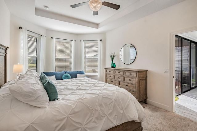 11144 CALLISIA DRIVE, Odessa, FL 33556