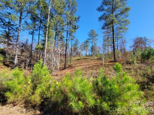 2076 Island View Lane NE, Connelly Springs, NC 28612