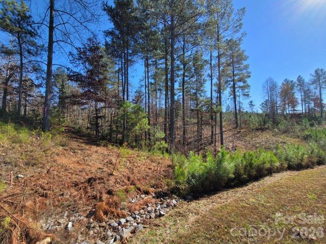 2076 Island View Lane NE, Connelly Springs, NC 28612