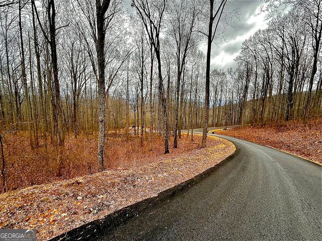 LOT 7 Rocky Knob Drive 7, Young Harris, GA 30582