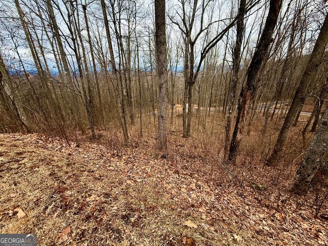 LOT 7 Rocky Knob Drive 7, Young Harris, GA 30582