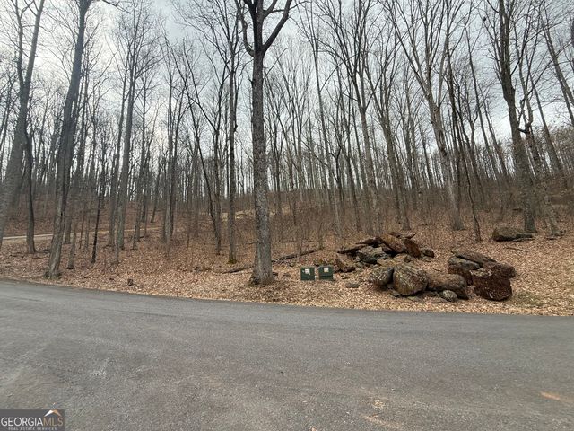 LOT 7 Rocky Knob Drive 7, Young Harris, GA 30582