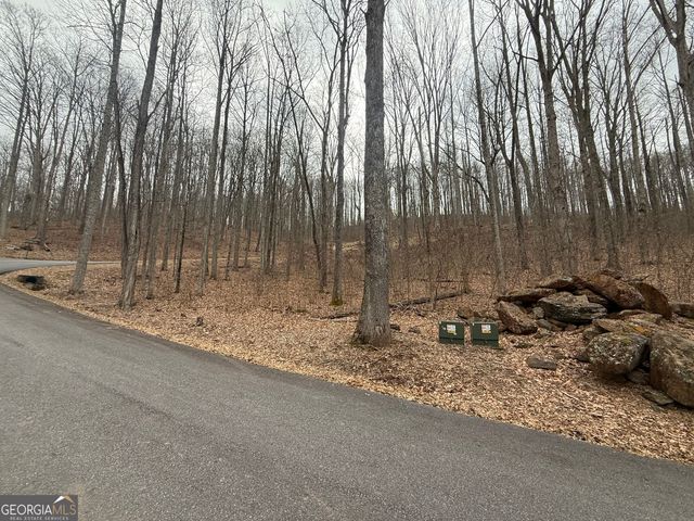 LOT 7 Rocky Knob Drive 7, Young Harris, GA 30582
