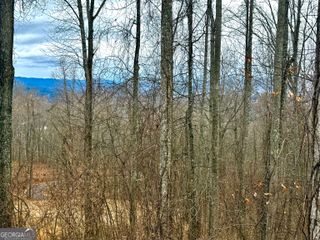 LOT 7 Rocky Knob Drive 7, Young Harris, GA 30582