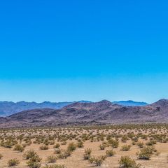 55 Mile Square Road, Joshua Tree, CA 92252