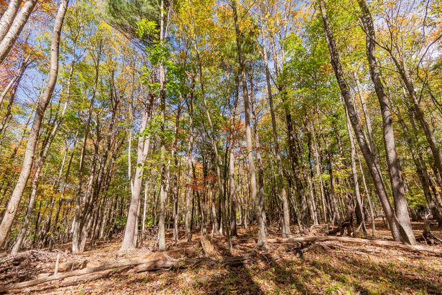 5531 Franklin Pike, Floyd, VA 24091