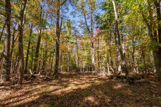 5531 Franklin Pike, Floyd, VA 24091