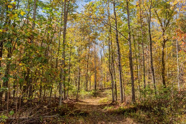 5531 Franklin Pike, Floyd, VA 24091