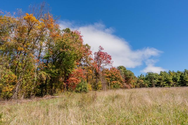 5531 Franklin Pike, Floyd, VA 24091