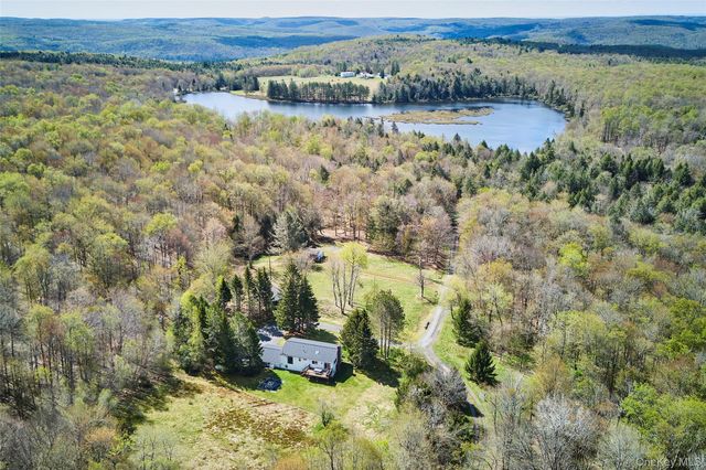 453 Little Ireland Road, Livingston Manor, NY 12758