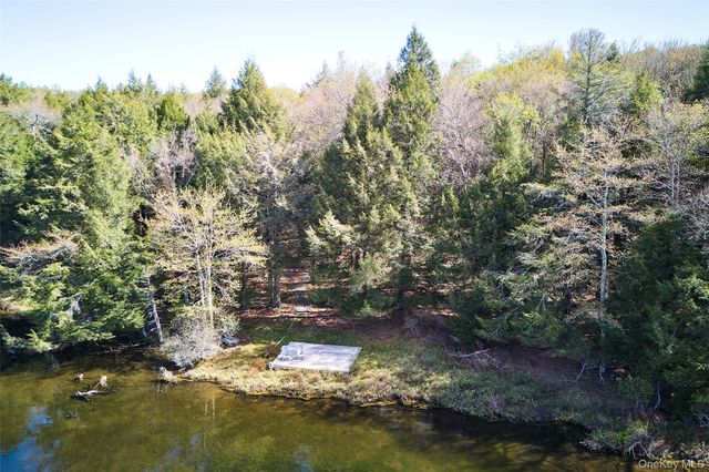 453 Little Ireland Road, Livingston Manor, NY 12758