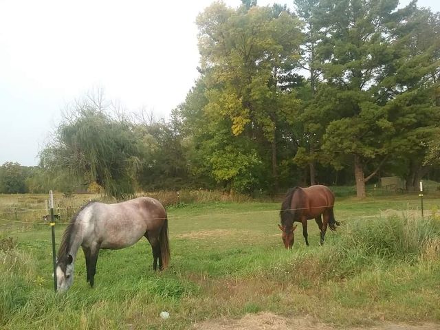 2599 Olympic Street, Brook Park, MN 55007