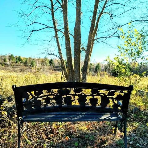 2599 Olympic Street, Brook Park, MN 55007