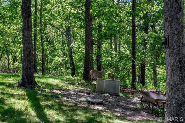 2838 Wild Ridge Drive, High Ridge, MO 63049
