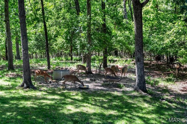 2838 Wild Ridge Drive, High Ridge, MO 63049