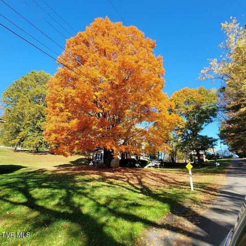 12104 Linden Street, Meadowview, VA 24361