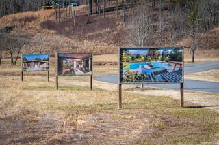 Lot 163 Ridge Dr, Blue Ridge, GA 30513