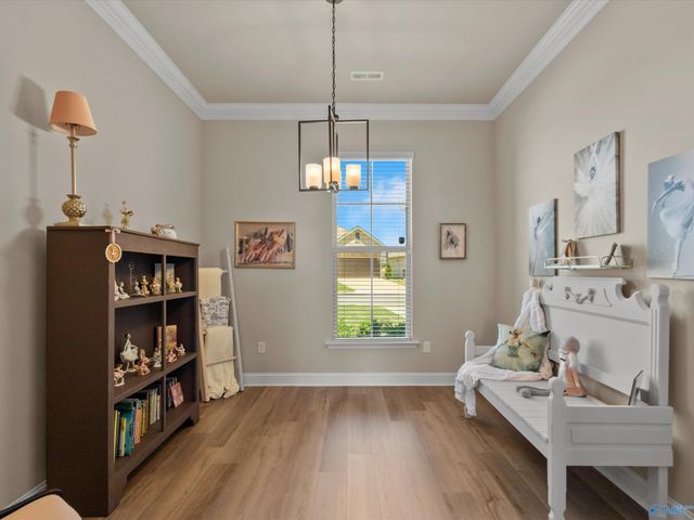 24495 Bekah Lane, Toney, AL 35773