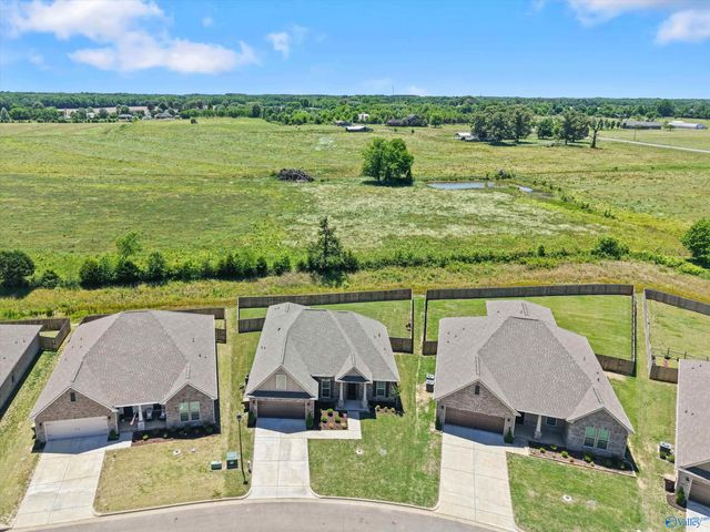 24495 Bekah Lane, Toney, AL 35773