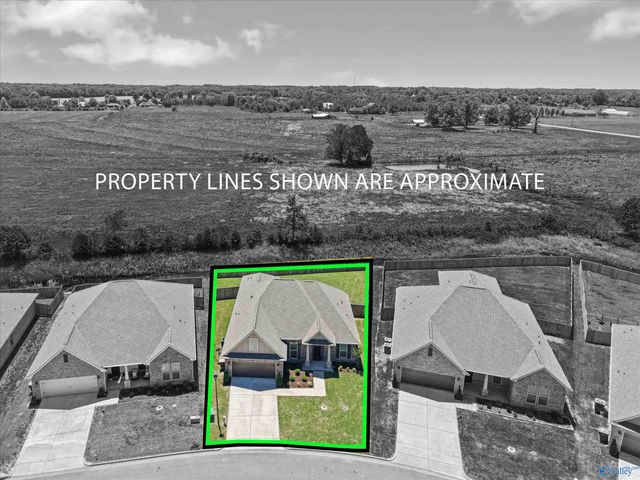 24495 Bekah Lane, Toney, AL 35773