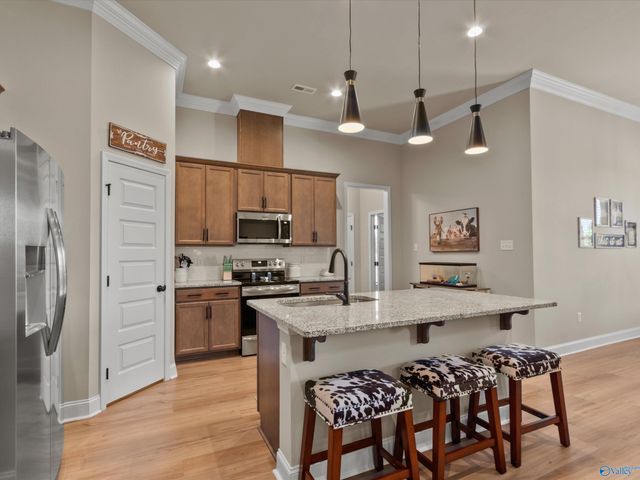 24495 Bekah Lane, Toney, AL 35773