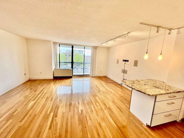 60 Longwood Avenue 306, Brookline, MA 02446