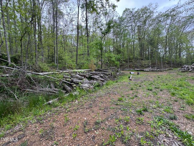 7311 Rocky Fork Road, Wise, VA 24293