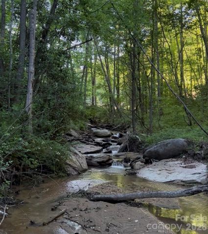 204 Rush Creek Road, Black Mountain, NC 28711