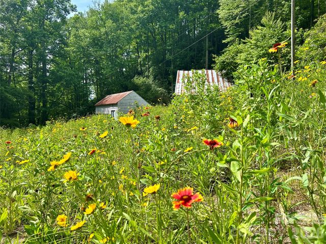204 Rush Creek Road, Black Mountain, NC 28711