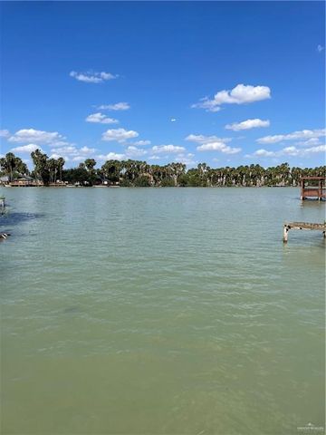 1003 Vela Jackson Avenue, La Joya, TX 78560