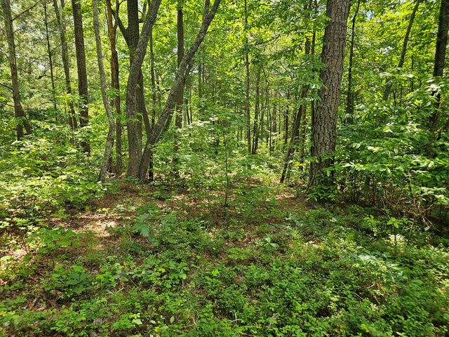 0 Harris Ridge Drive, Ellijay, GA 30540