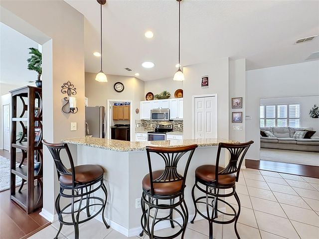 3600 MOUNT HOPE LOOP, Leesburg, FL 34748