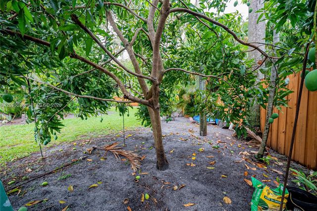 548 East Dr, Miami Springs, FL 33166