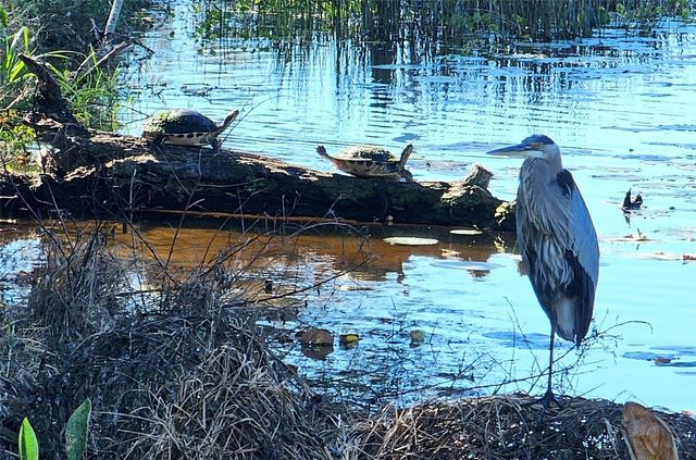 1718 86TH STREET NW, Bradenton, FL 34209