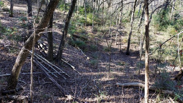 1917 Juniper Ridge Road, Cedar Hill, TX 75104
