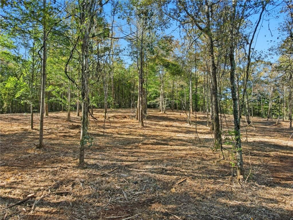 13630 Birmingham Highway, Alpharetta, GA 30004